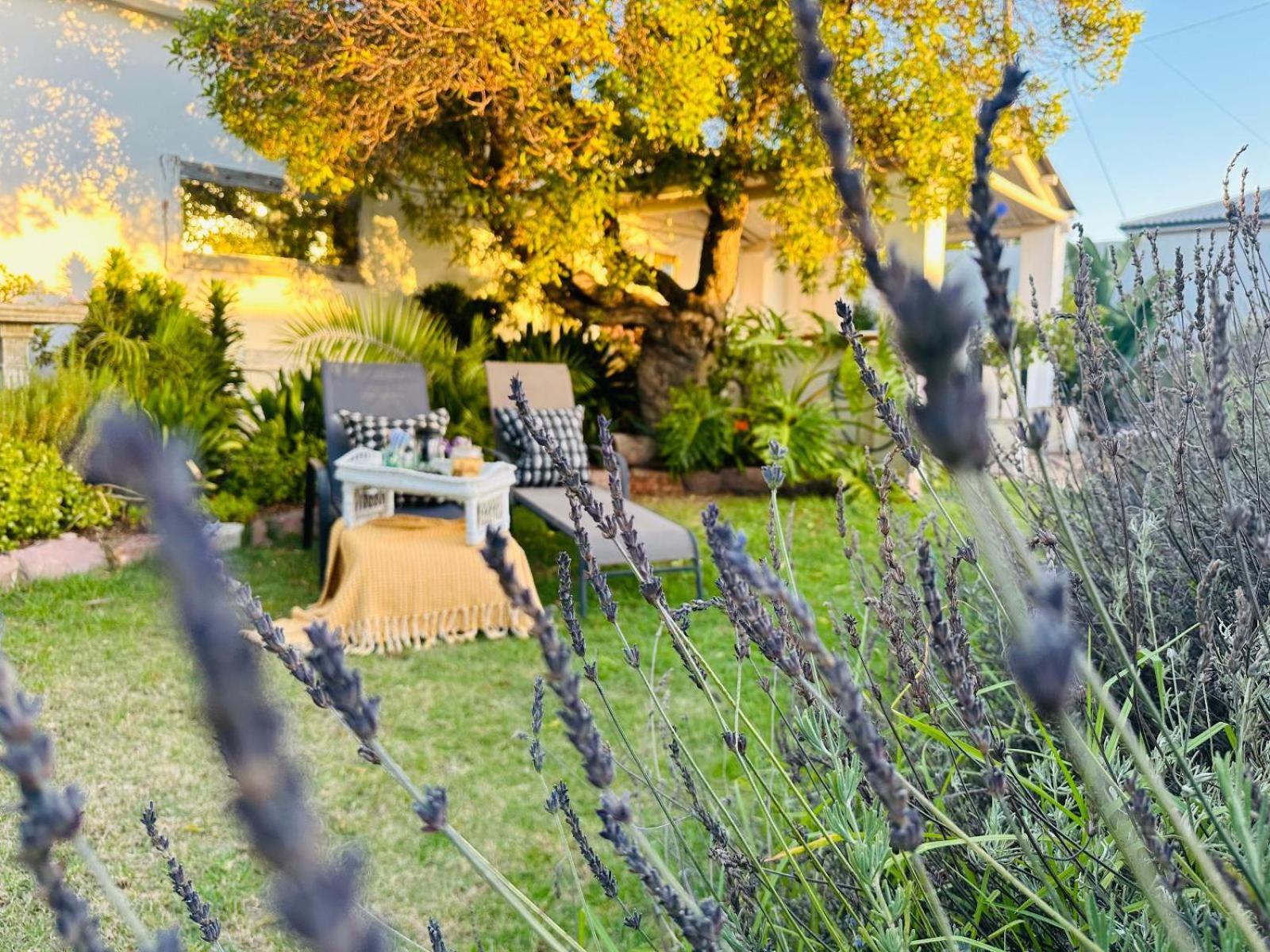 Villa Da Graca - Homecooked Meals On Arrangement Mossel Bay Luaran gambar